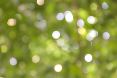 Defocused image of illuminated lights