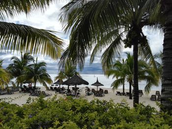 Beach resort seen through trees and plants