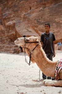 Boy standing with camel resting at desert