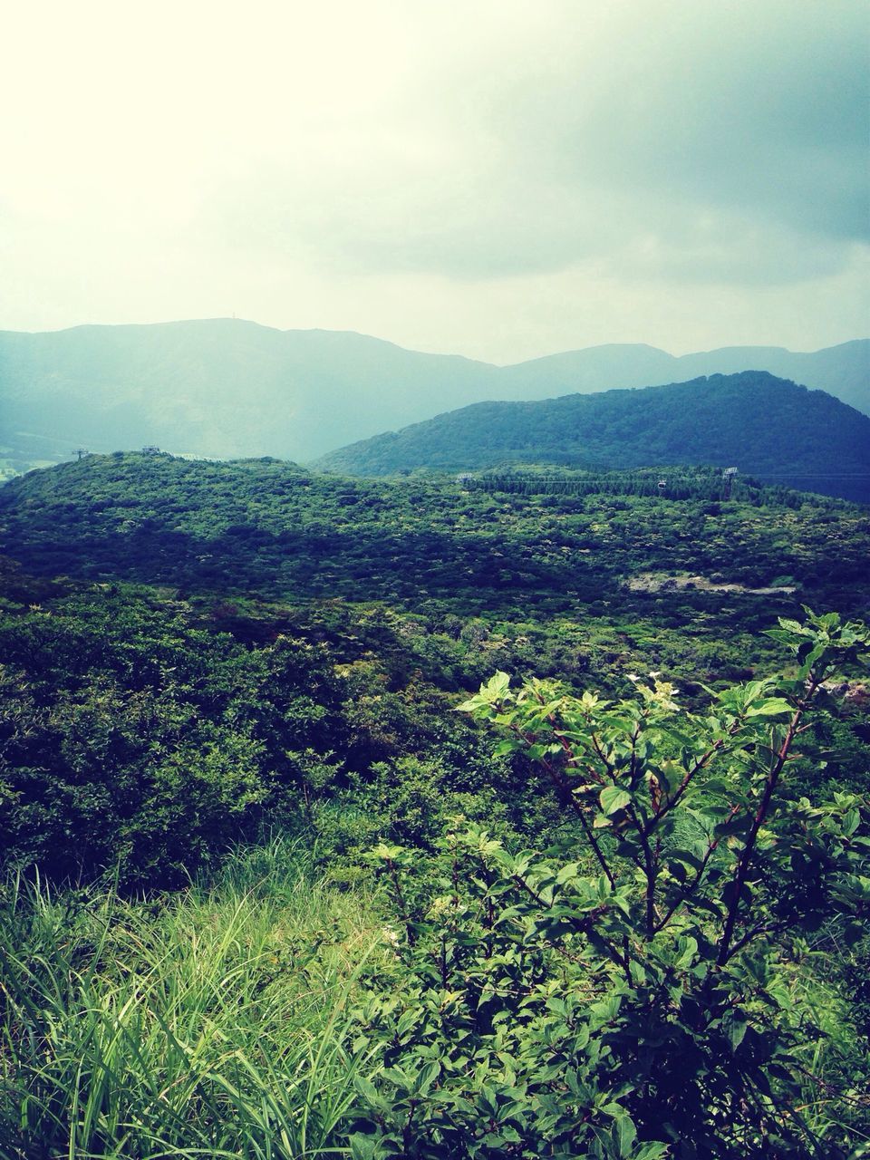 mountain, mountain range, sky, landscape, tranquil scene, scenics, tranquility, beauty in nature, growth, nature, green color, high angle view, tree, plant, cloud - sky, hill, outdoors, non-urban scene, day, idyllic