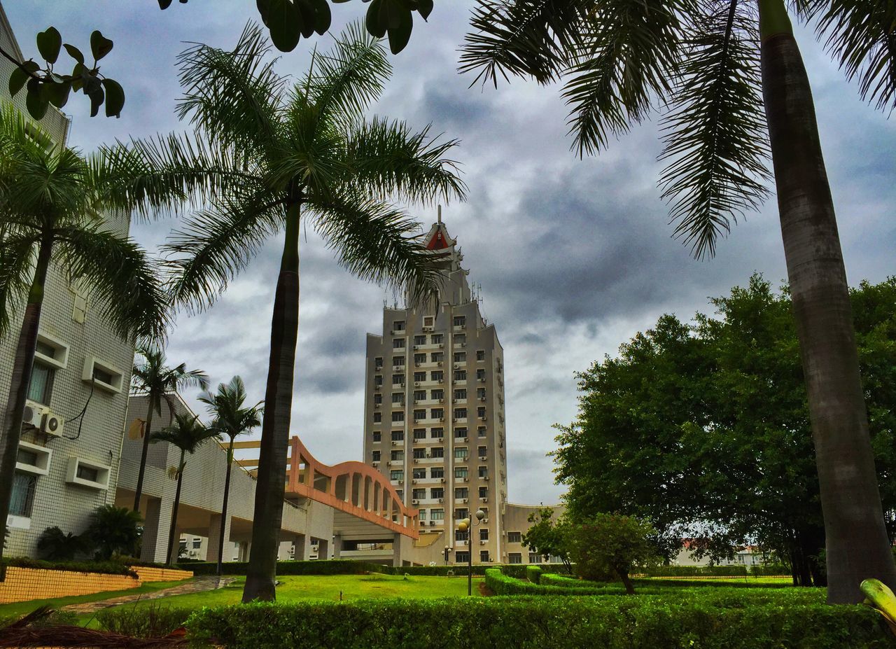 architecture, building exterior, built structure, tree, city, sky, tall - high, modern, skyscraper, office building, low angle view, tower, cloud - sky, building, growth, green color, cloudy, cloud, day, outdoors