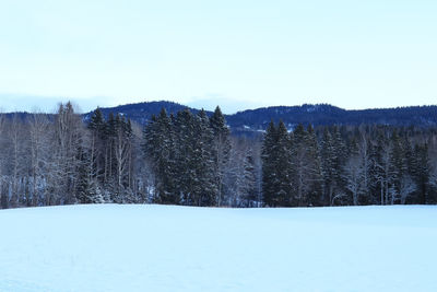 snow