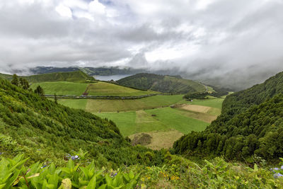 Scenic view of agricultural field against sky