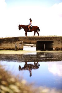 Man riding horse in a lake