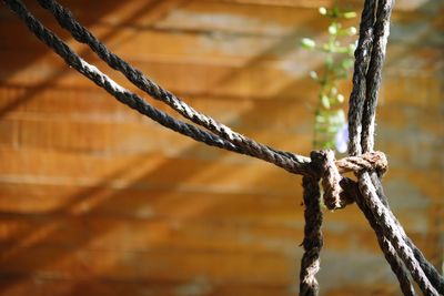 Close-up of rope tied on metal chain