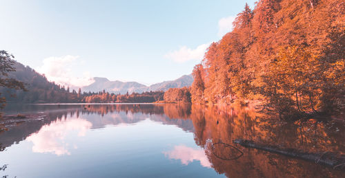 Scenic view of lake