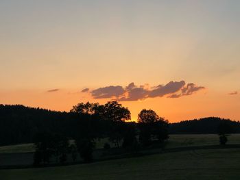 Silhouette trees on field against sky during sunset