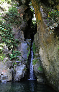 Scenic view of waterfall in forest