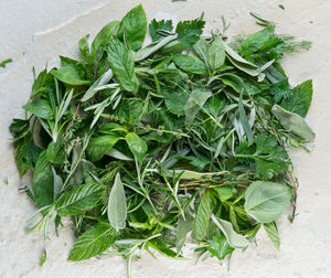 Close-up of leafy vegetables