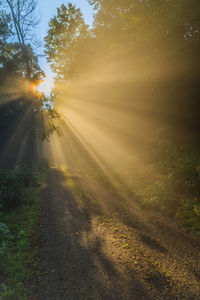 Road by trees against sky during sunset