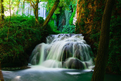 Scenic view of waterfall in forest