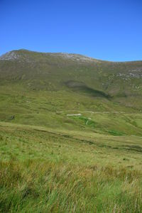 Scenic view of field against clear blue sky