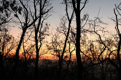 Silhouette bare trees against sky during sunset