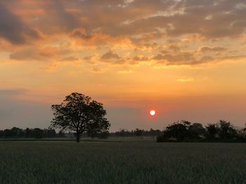 Scenic view of field against sky during sunset