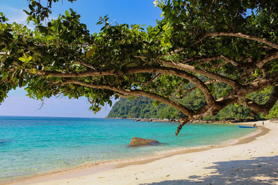 Scenic view of sea against clear blue sky