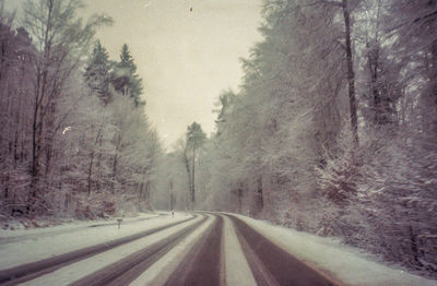 Road amidst trees in forest during winter