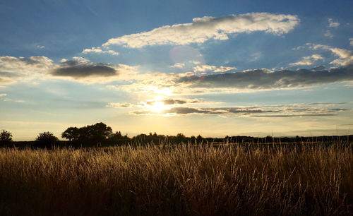 Scenic view of field against sky at sunset