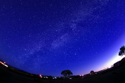 Low angle view of stars against sky at night