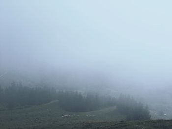 Scenic view of landscape in foggy weather against sky