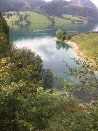 High angle view of lake by trees