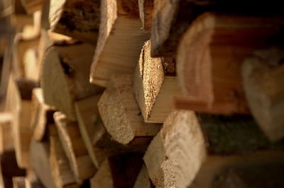 Stacked firewood.
