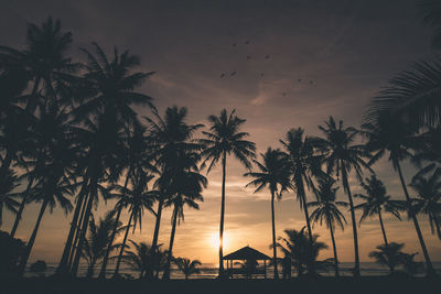 Silhouette palm trees on beach against sky during sunset