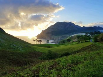 Scenic view of landscape against sky