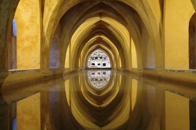 Reflection of ribbed vault ceiling in water