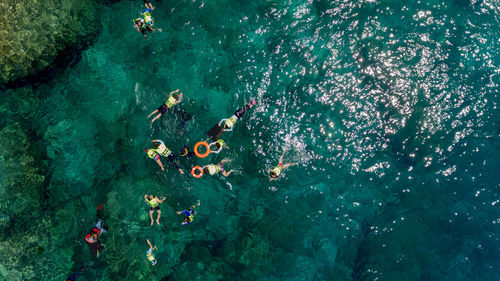 Directly above view of people swimming in sea