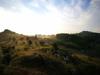 Scenic view of landscape against sky