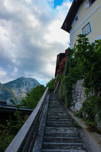 Steps amidst buildings and trees against sky