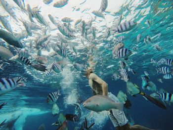 Shirtless man swimming undersea