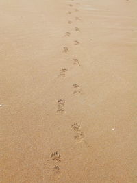 Full frame shot of sand