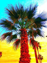 Low angle view of palm tree against sky