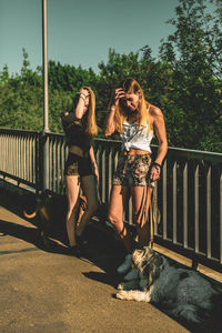 Friends standing amidst dogs on footbridge during sunny day