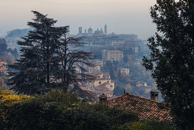 High angle view of trees and buildings in city