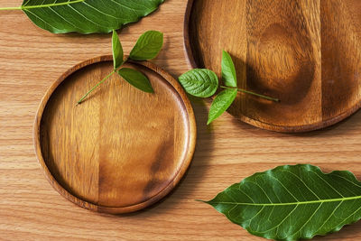 High angle view of green leaves on table