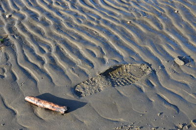 Scenic view of sand at beach