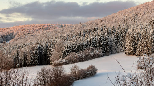 Scenic view of snow covered land against sky