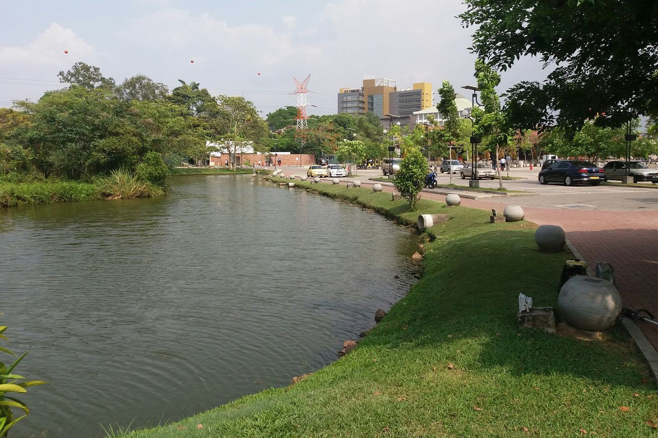 water, building exterior, tree, architecture, built structure, sky, city, incidental people, green color, canal, river, day, growth, reflection, nature, grass, outdoors, cloud - sky, waterfront, transportation