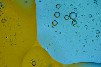 Top view oil bubbles drop on the water with colorful background, macro photography concept