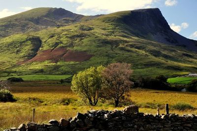 Landscape with mountain range in background