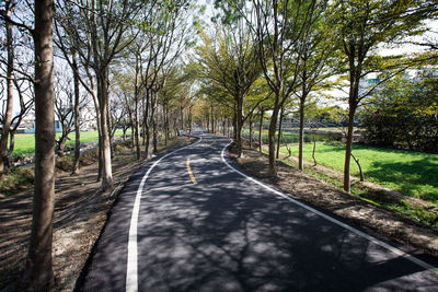 Road amidst trees in forest