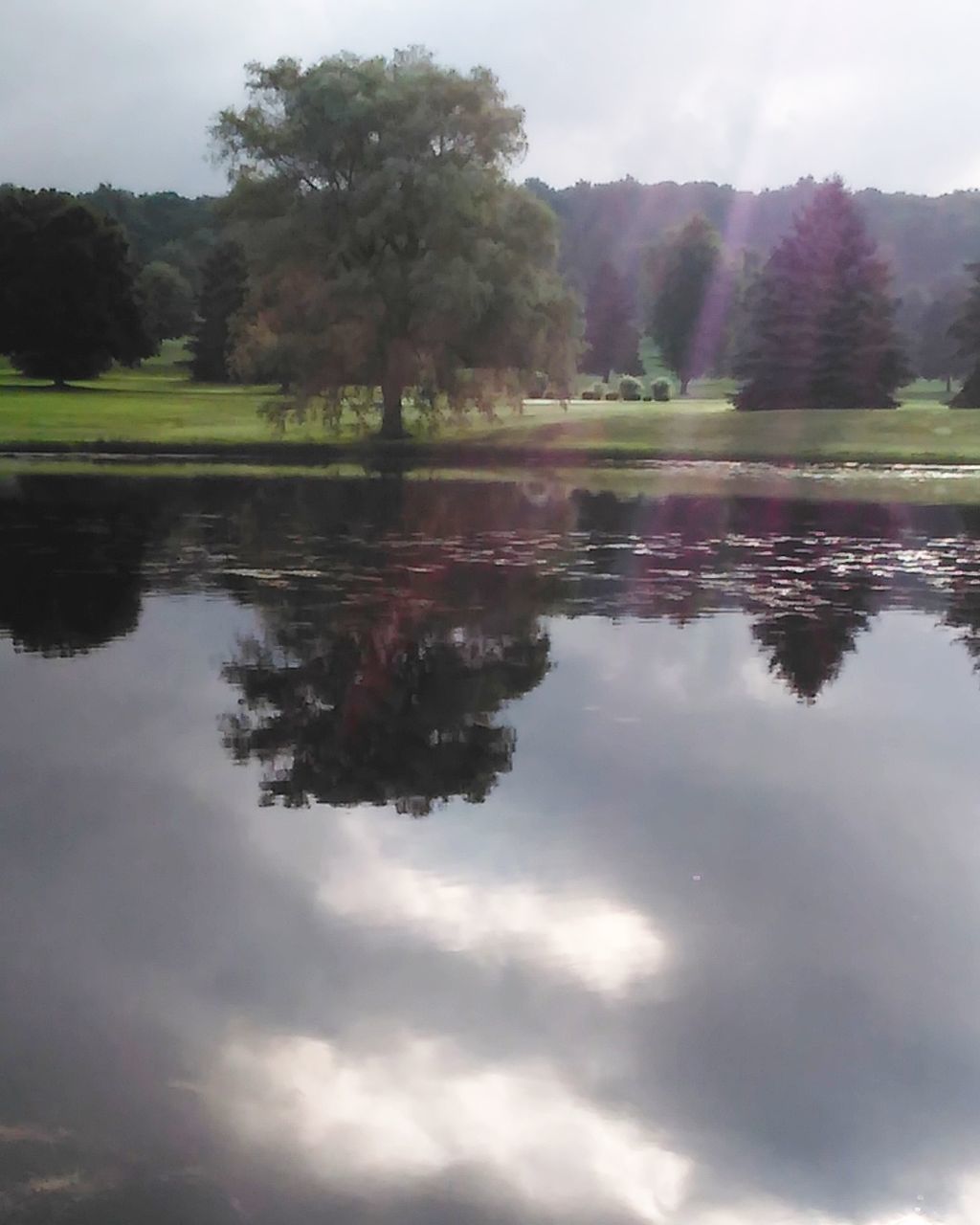 water, reflection, tree, tranquil scene, tranquility, lake, scenics, beauty in nature, calm, nature, sky, standing water, waterfront, growth, green color, cloud, park - man made space, park, cloud - sky, non-urban scene, day, outdoors, vacations, no people, surface level, green, reflection lake, tourism