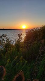 Scenic view of sea against sky during sunset