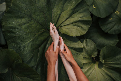 Close-up of hands over plants