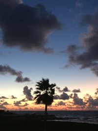 Silhouette palm trees on beach against sky at sunset