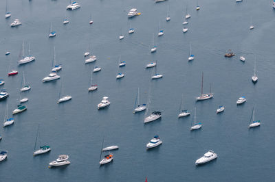 Aerial view of sailboats moored in sea