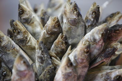 Close-up of dead fish for sale at market stall