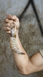 Cropped hand of woman holding hands